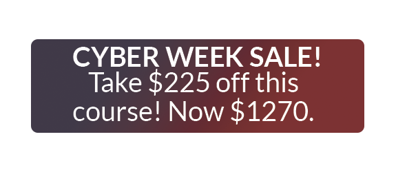 Cyber Sale