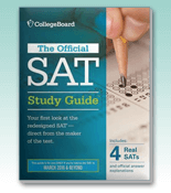 SAT Publications